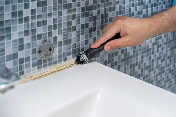 Best Local Mold Removal Service  in Fairmont, IL