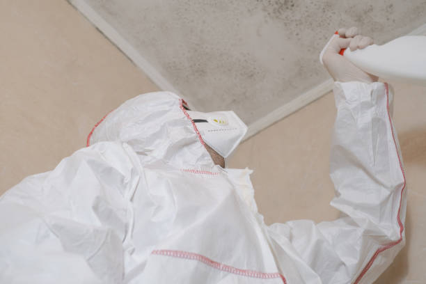 Best Commercial Mold Removal  in Fairmont, IL