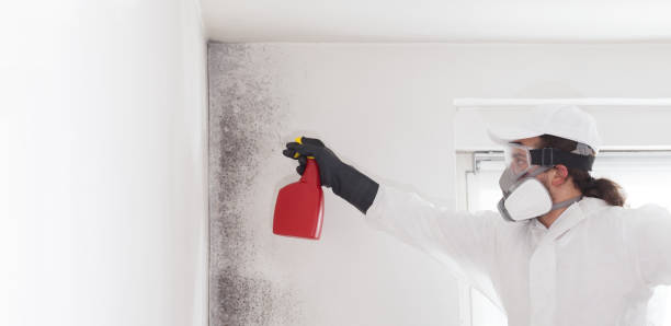 Best Mold Cleaning Services  in Fairmont, IL