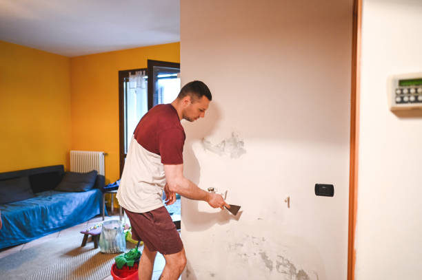 Best Mold Remediation  in Fairmont, IL