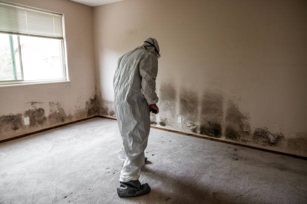 Best Crawl Space Mold Removal  in Fairmont, IL
